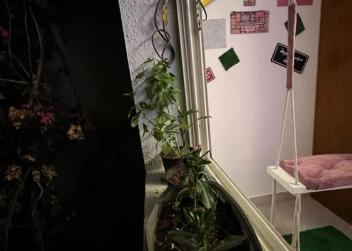 Delta Apartment *
